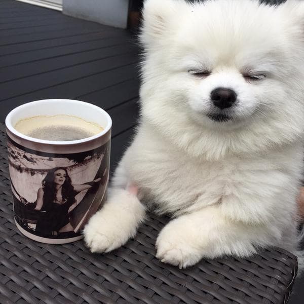 Amor es tan famosa que todos quieren tomarse una foto con ella.