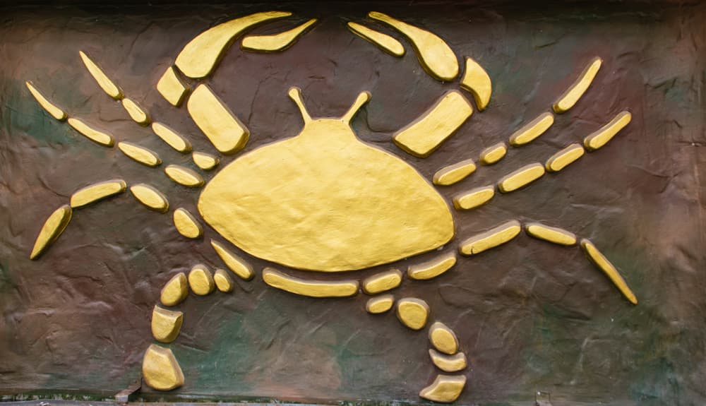 El problema aquí es que Cáncer es un signo de agua y se comunica con su entorno principalmente por medio de sus sentimientos, muy poco que ver con Marte que es todo acción. El elemento agua representa el mundo de las emociones insondables, desde pasiones compulsivas y temores irracionales hasta sentimientos de compasión y amor universales.