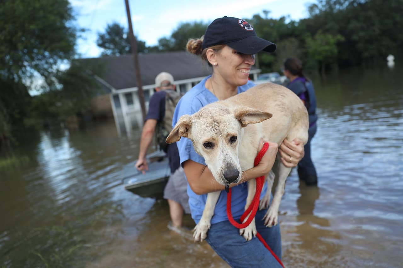 Lecciones de las inundaciones de Louisiana: con lluvias tan extremas no valen las lecciones