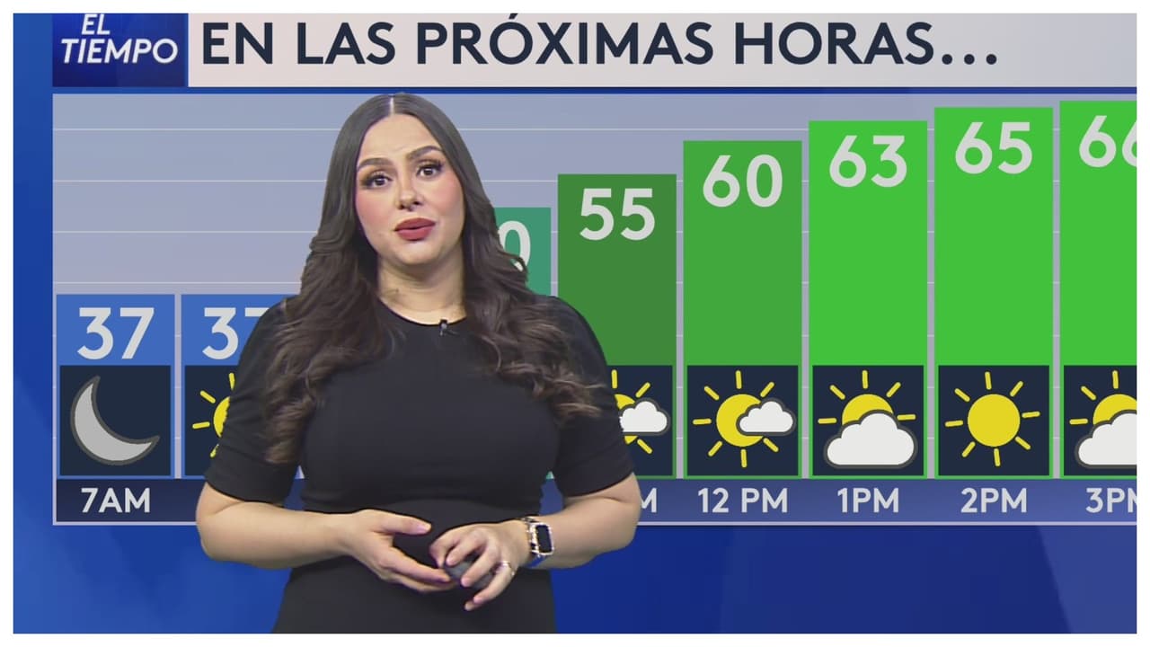 Pronóstico del tiempo hoy en Dallas: Hasta 67 °F harán derretir los últimos remanentes de hielo