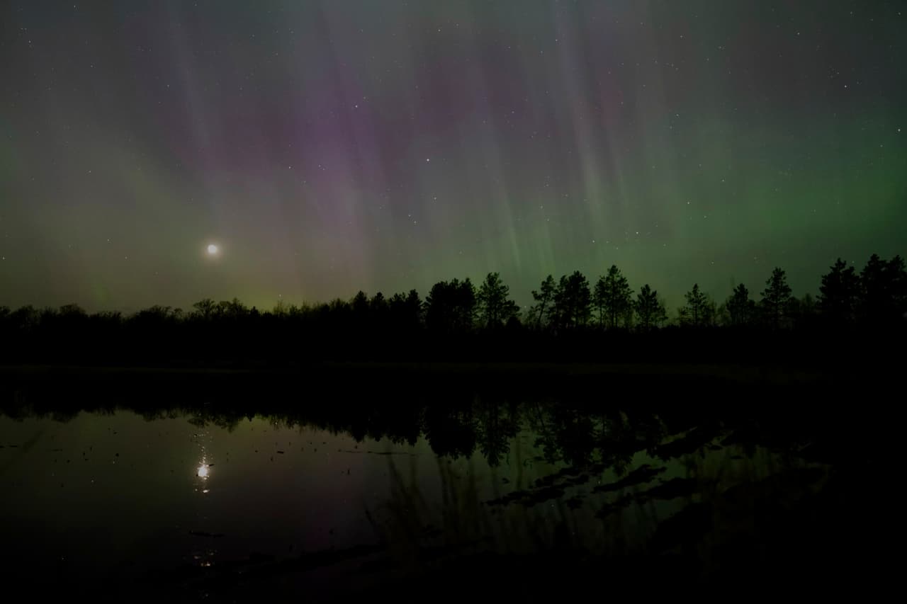 La aurora boreal brilla en el cielo sobre el bosque estatal de St. Croix, cerca de Markville, Minnesota.
