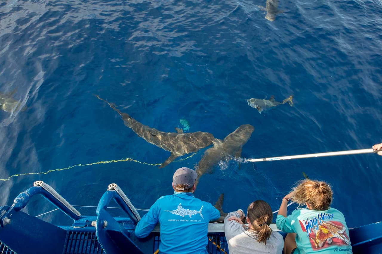 Los ajustes exteriores del acuario preparan el escenario para el juego de naturaleza, una mayor accesibilidad y la restauración de las terrazas históricas de Shedd. El plan está listo para su presentación al Comité de Diseño de la Ciudad el miércoles 28 de febrero.