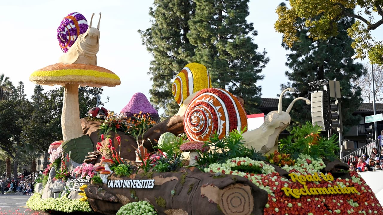 Carruajes decorados y trabajados por 7 meses, lo que se podrá ver en el Desfile de las Rosas 2025