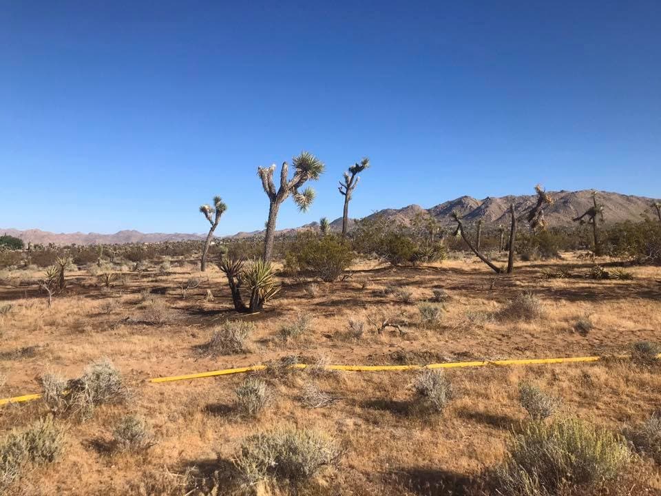 El incendio fue contenido en un 100% a las 7:45 p.m. Los equipos continuarán monitoreando el fuego y patrullarán el perímetro en busca de puntos calientes.