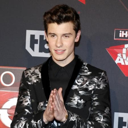 El cantante Shawn Mendes estaba preparando su concierto programado el 20 de septiembre, mismo que fue pospuesto y a cambio, hizo una donación, pidiéndole a fans de todo el mundo que hicieran lo mismo.