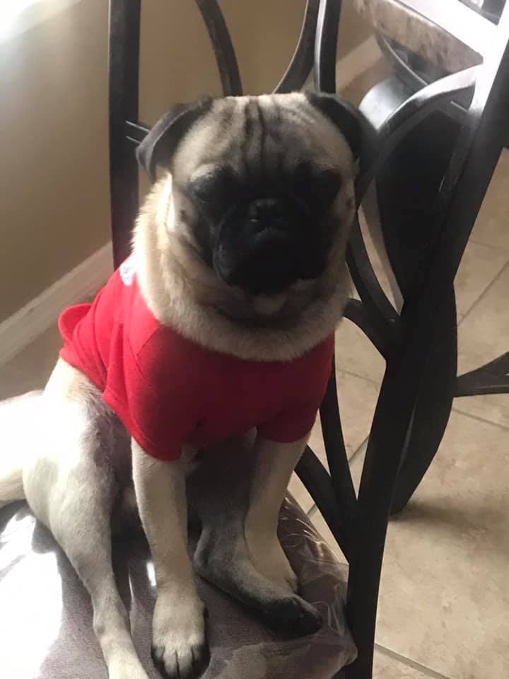 Aquí el consentido de Griselda Reyes.