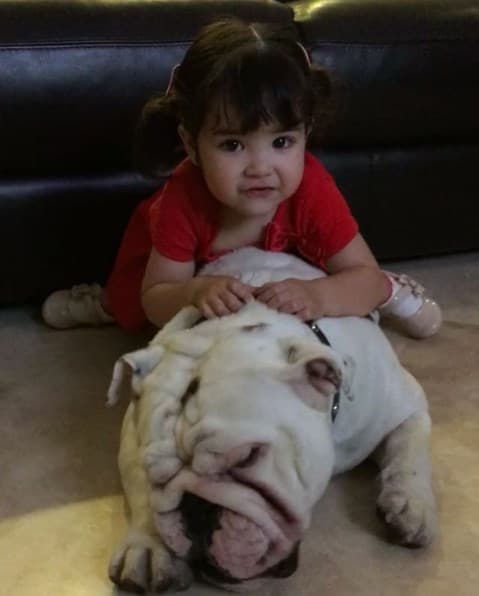 Parece que baby Giulietta encontró una almohada perfecta para mirar la televisión y recargarse.