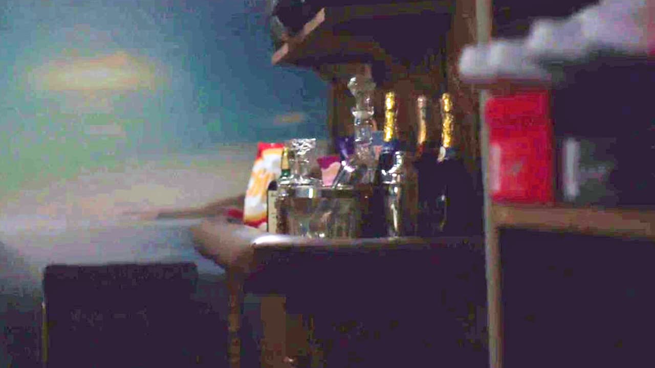 There was also another shelf full of cookies, almonds, bags of candies and a lot of bottles of wine and whisky.