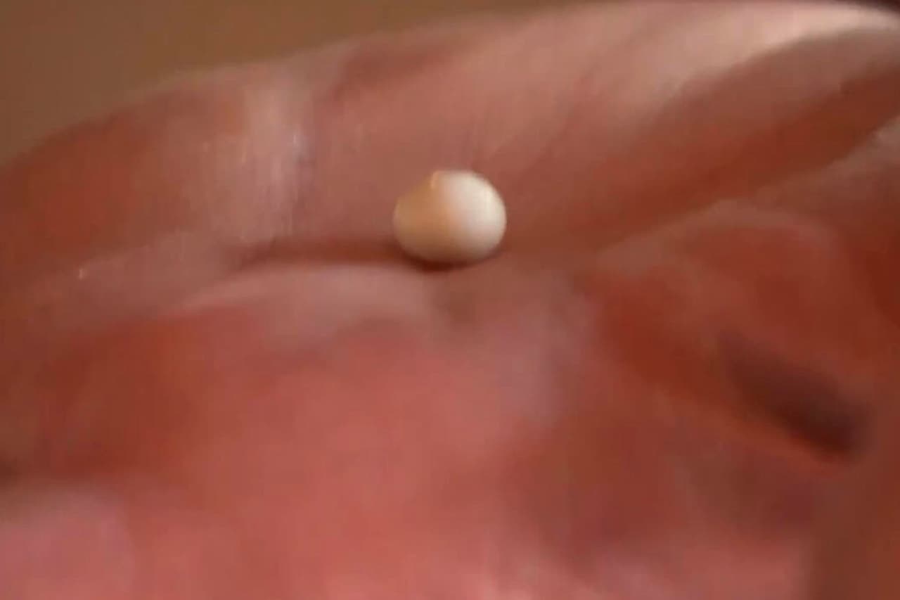 La perla en 
<b>Cape May</b> es una especie de regalo de aniversario tanto para los Spressler como para 
<b>Lobster House,</b> ya que el restaurante celebra su centenario.