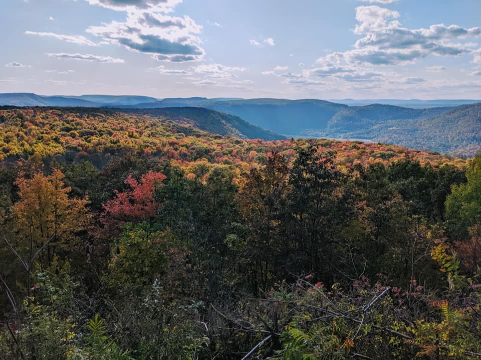 <b>Loyalsock Trail</b>: El Sendero Loyalsock es un sendero de 59.2 millas que pasa por el Bosque Estatal Loyalsock y el Parque Estatal Worlds End. Uno de los senderos para mochileros más populares del estado, este sendero pasa por docenas de cascadas y vistas impresionantes mientras serpentea a través del bosque. Si está buscando una caminata más corta, hay muchos senderos fantásticos y opciones de caminatas de ida y vuelta a lo largo de Loyalsock.