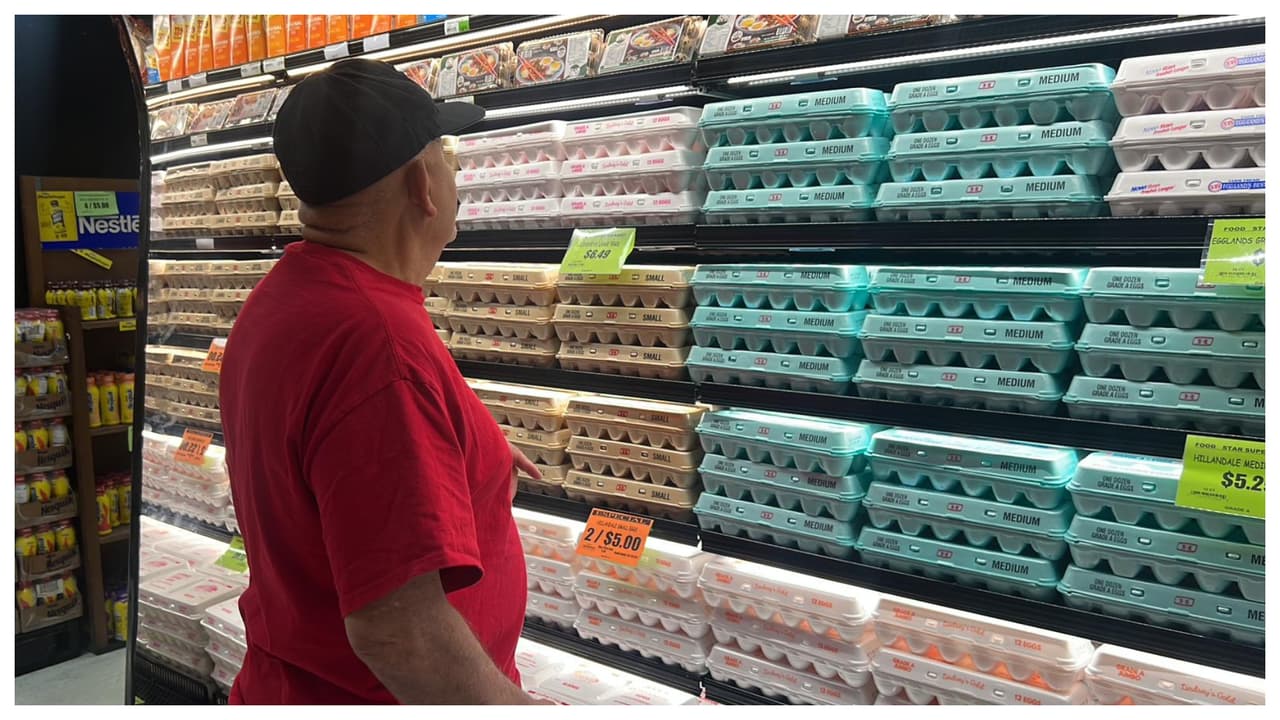 Precio de los huevos aumenta un 238%: mira cuál es la situación en los supermercados del sur de Florida