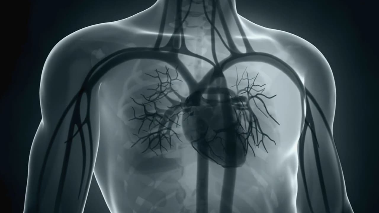 Salud de hispanos en EEUU: ¿Cuáles son factores de riesgo ante enfermedades cardiovasculares?