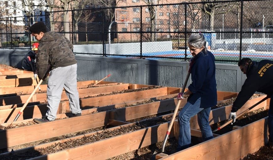 Buscan a jóvenes granjeros urbanos; ofrecen $1,800 al mes sin experiencia necesaria