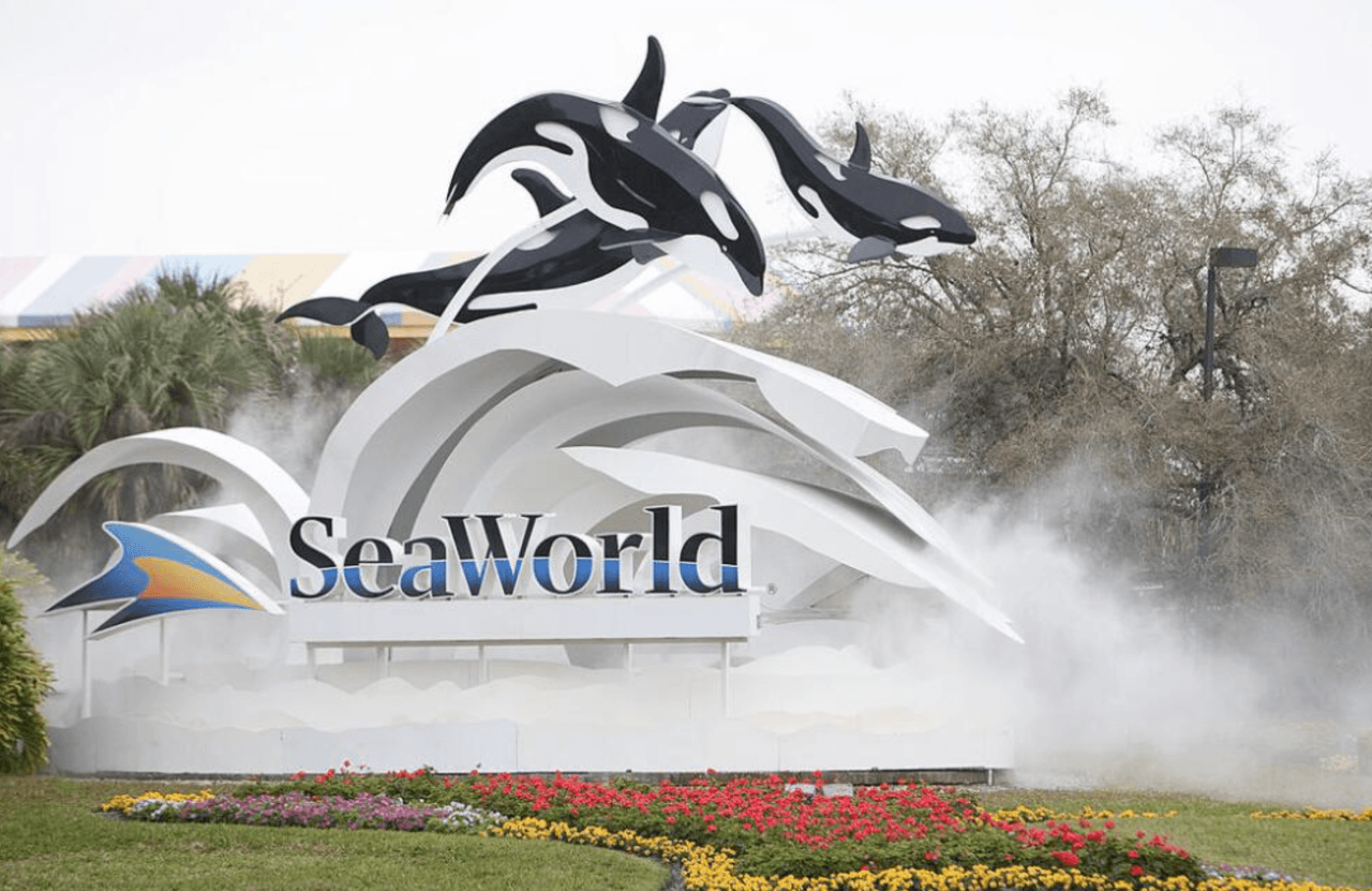 SeaWorld Orlando es el mejor parque temático de Estados Unidos, según encuesta