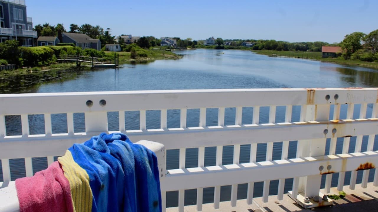 Tres adolescentes de Nueva York saltan de un puente y salvan a un joven inconsciente en el agua