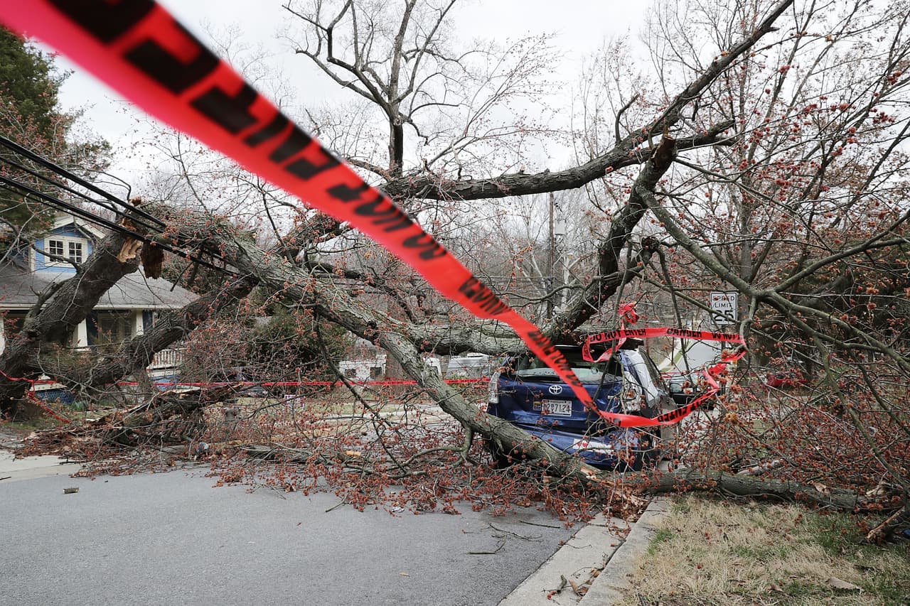 Los fuertes vientos que se sintieron este viernes en el Parque Takoma, en Maryland, derribaron un árbol que al caer se trajo consigo el tendido eléctrico.