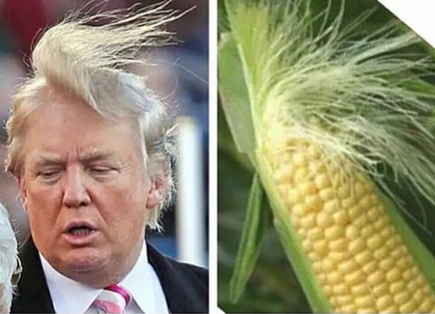 18 memes que resumen los momentos inolvidables de esta campaña presidencial 