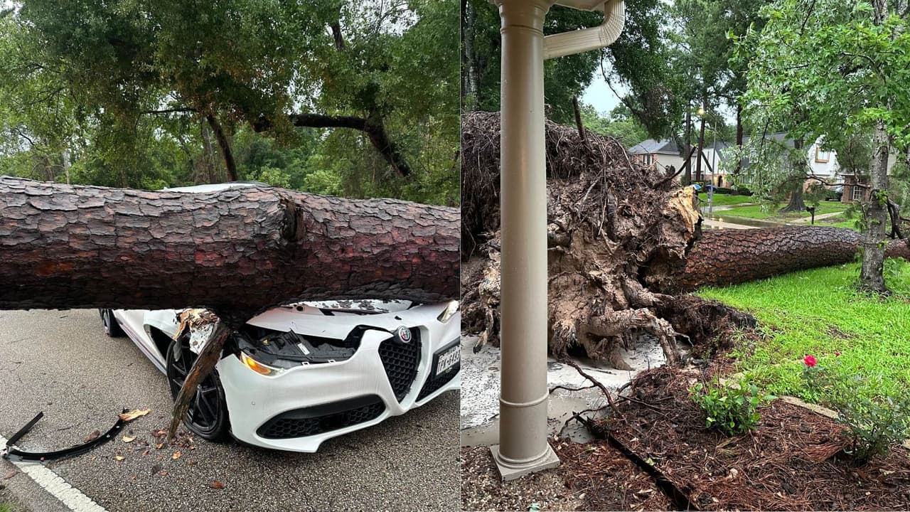 "Varias torres de transmisión han caído": Jueza Hidalgo habla de los estragos que dejaron las tormentas