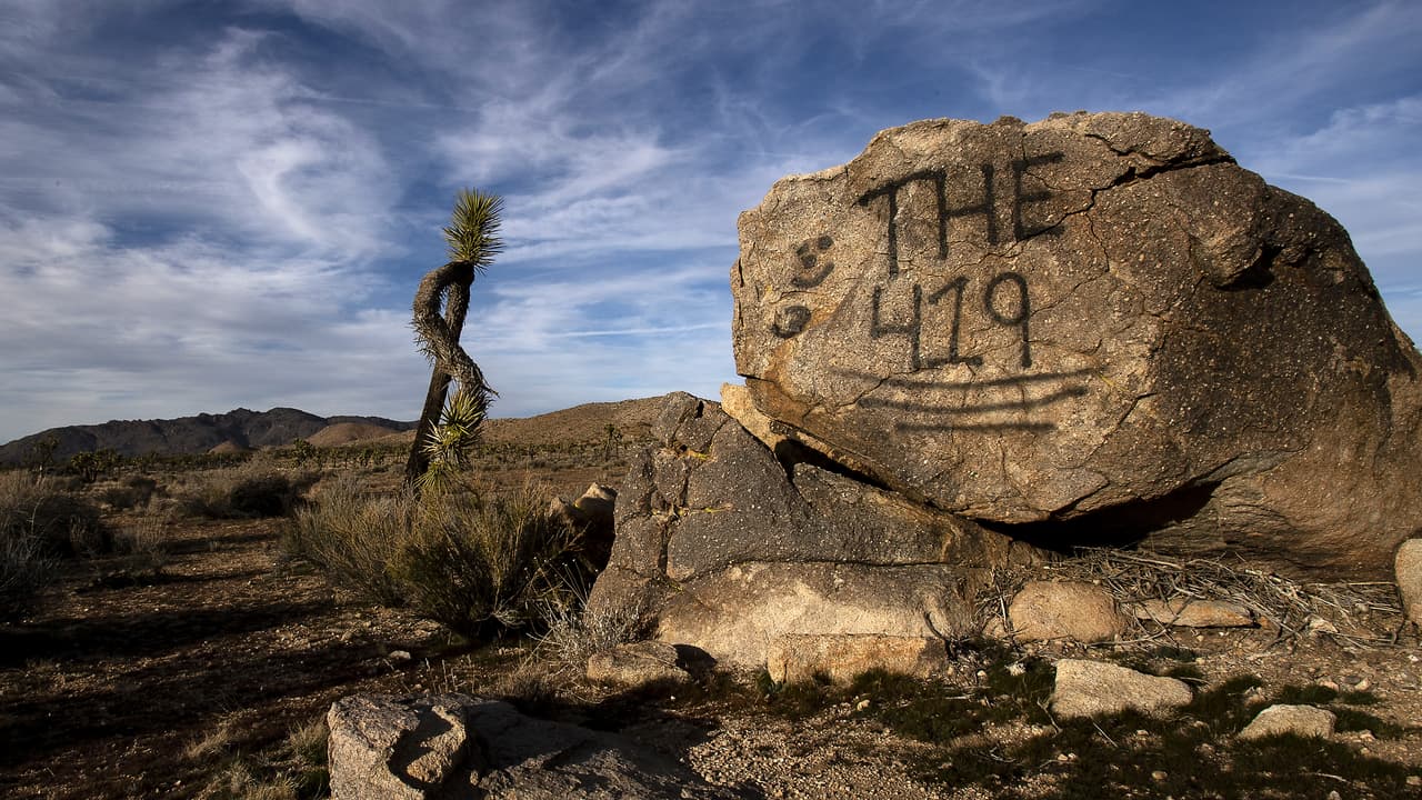 Vandalismo y clausuras: los efectos del cierre parcial del gobierno en los Parques Nacionales (fotos)