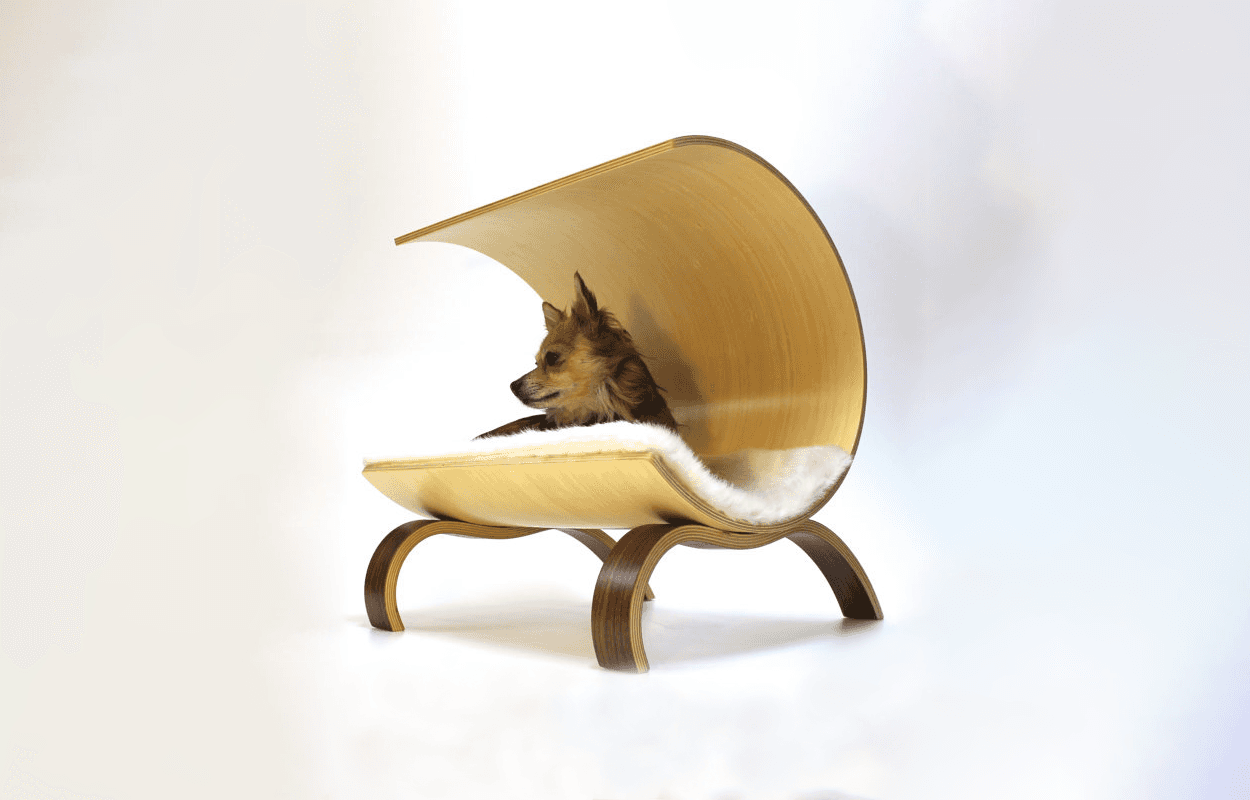 Cómo hacer que la cama de tu mascota sea parte integral del diseño de casa