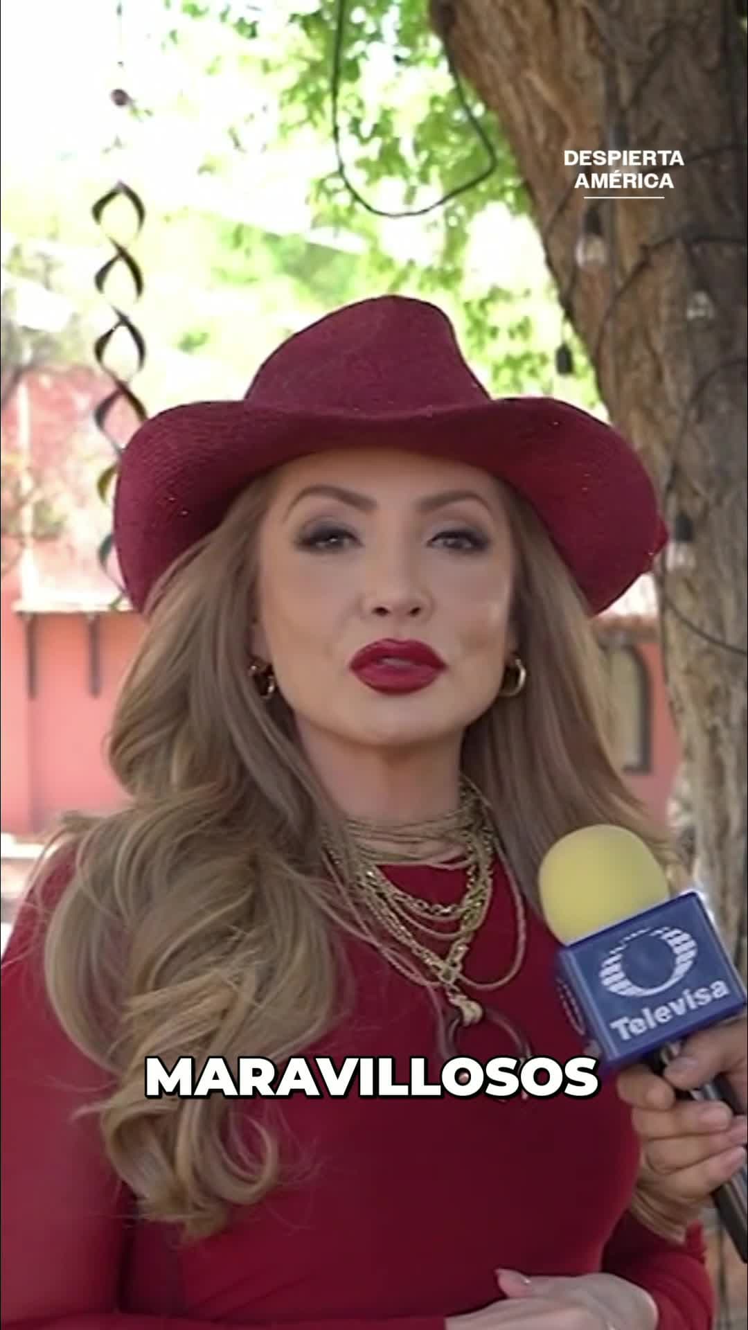 Paty Navidad habla de su regreso a las telenovelas en 'Tierra de Amor y Coraje'