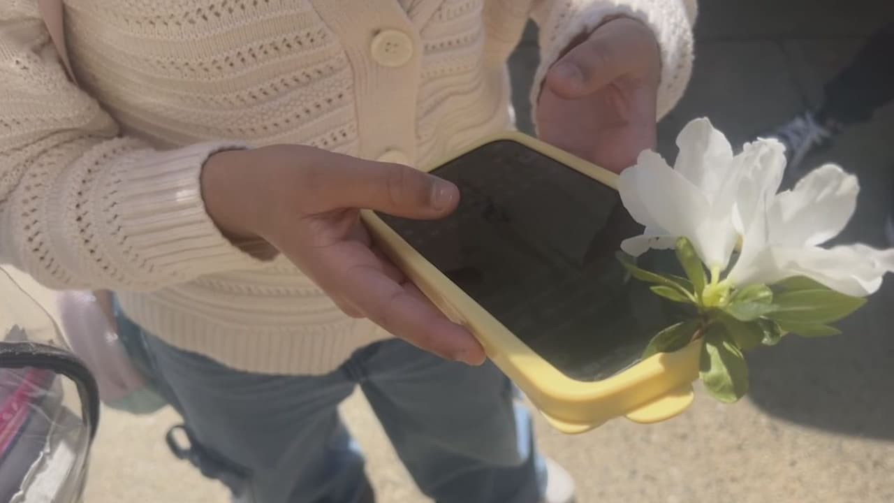 Ley prohíbe uso de celulares desde kínder a octavo grado, ¿cómo afecta emocionalmente a los menores?