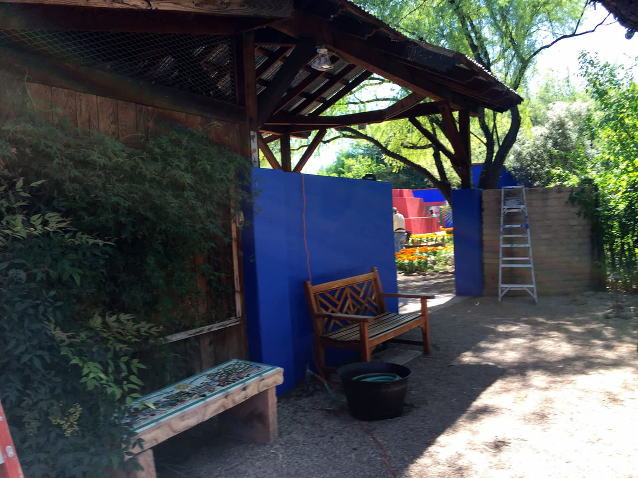 Jardines, color y arte en la exhibición de Frida Kahlo en Tucson