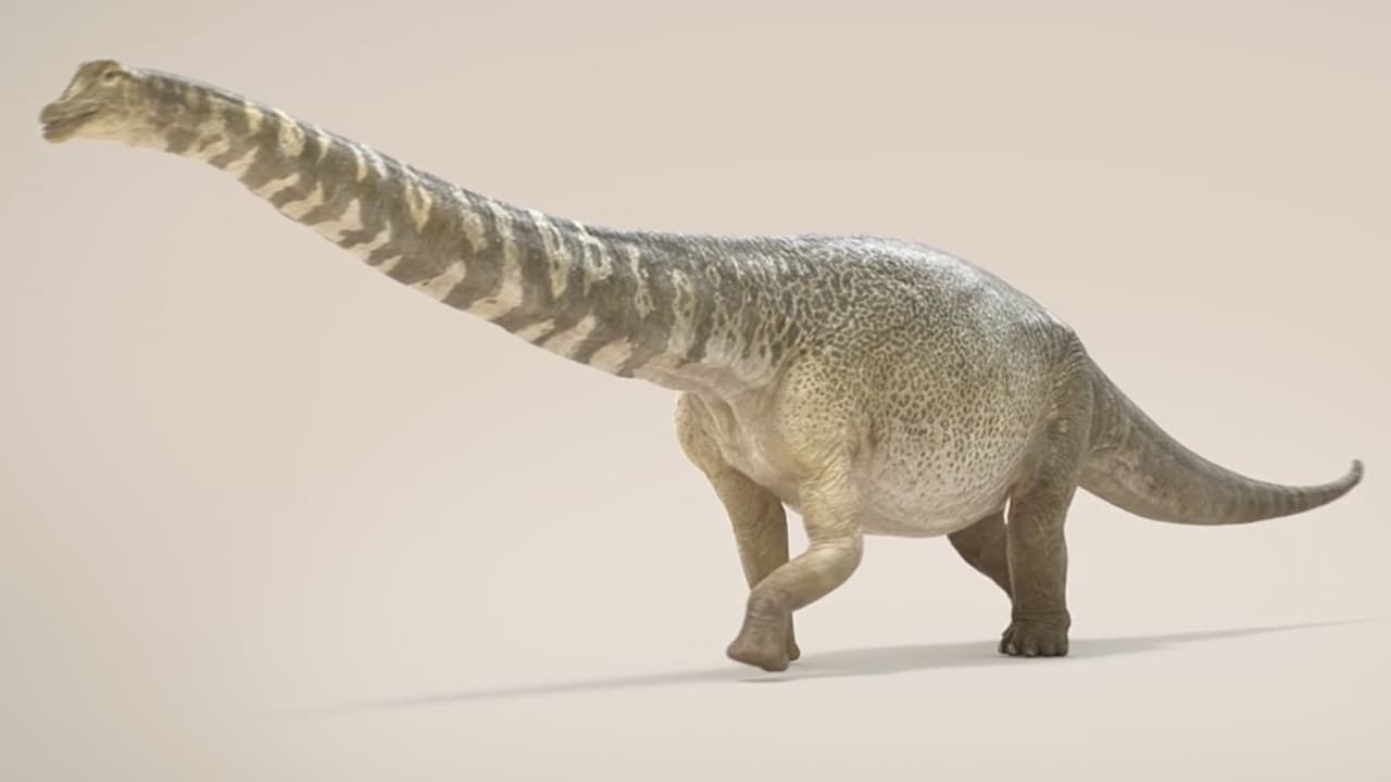 <b>En video. Descubren una nueva especie de dinosaurios y es una de las más grandes que existiero</b>n
<br>
<br>Se trata del Australotitan o “titán meridional”, un dinosaurio de tipo saurópodo que vivió hace 92 millones de años en Australia. Con 82 pies de largo y 16 de alto, se considera la especie más grande que caminó por la isla continente y su tamaño es comparable al de los titanosaurios gigantes de Sudamérica.