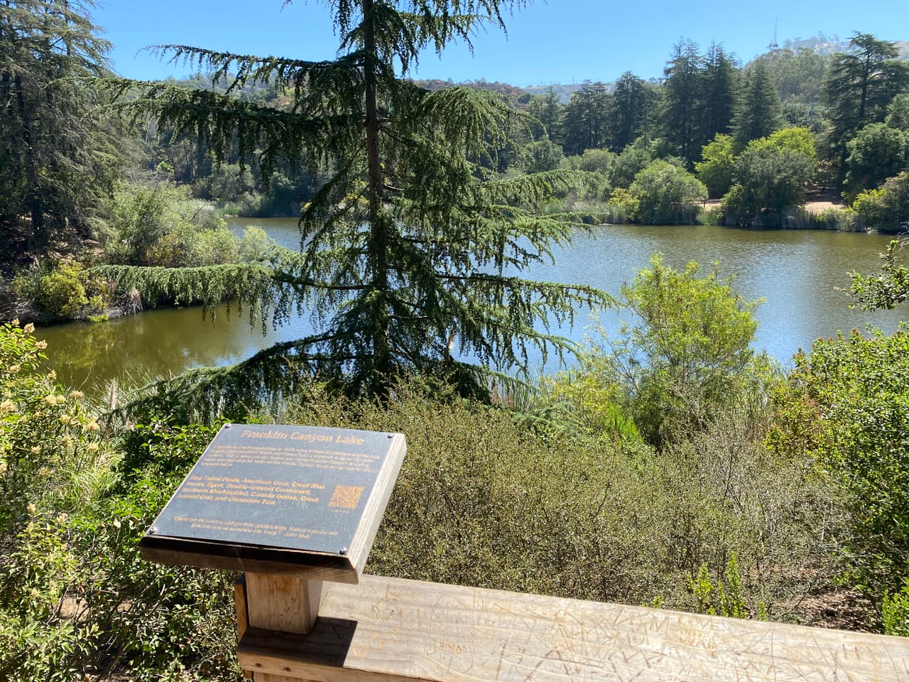 Si eres de los que se quedó en casa durante el feriado, te recomendamos el paseo este fin de semana. Comparte las fotos de tu visita.