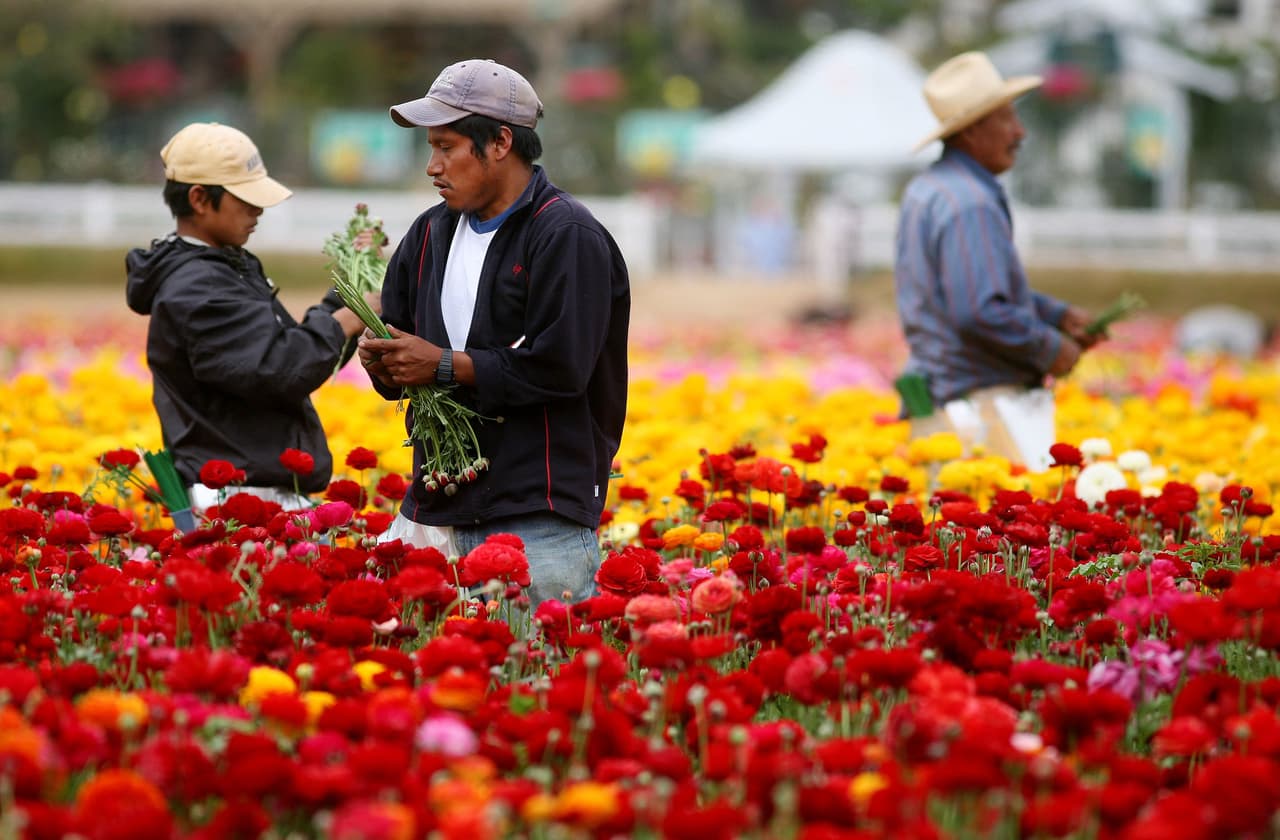 Sin inmigrantes, la población que puede trabajar en EEUU se estancará
