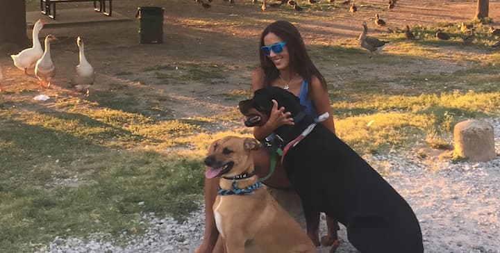 María Teresa Guerrero. Haz ejercicio con tu mascota