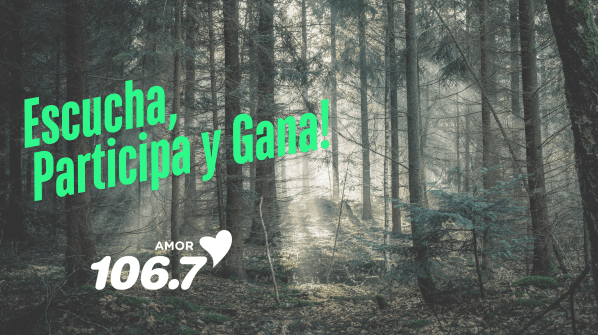 Gana tu paquete familiar a Jurassic Quest!