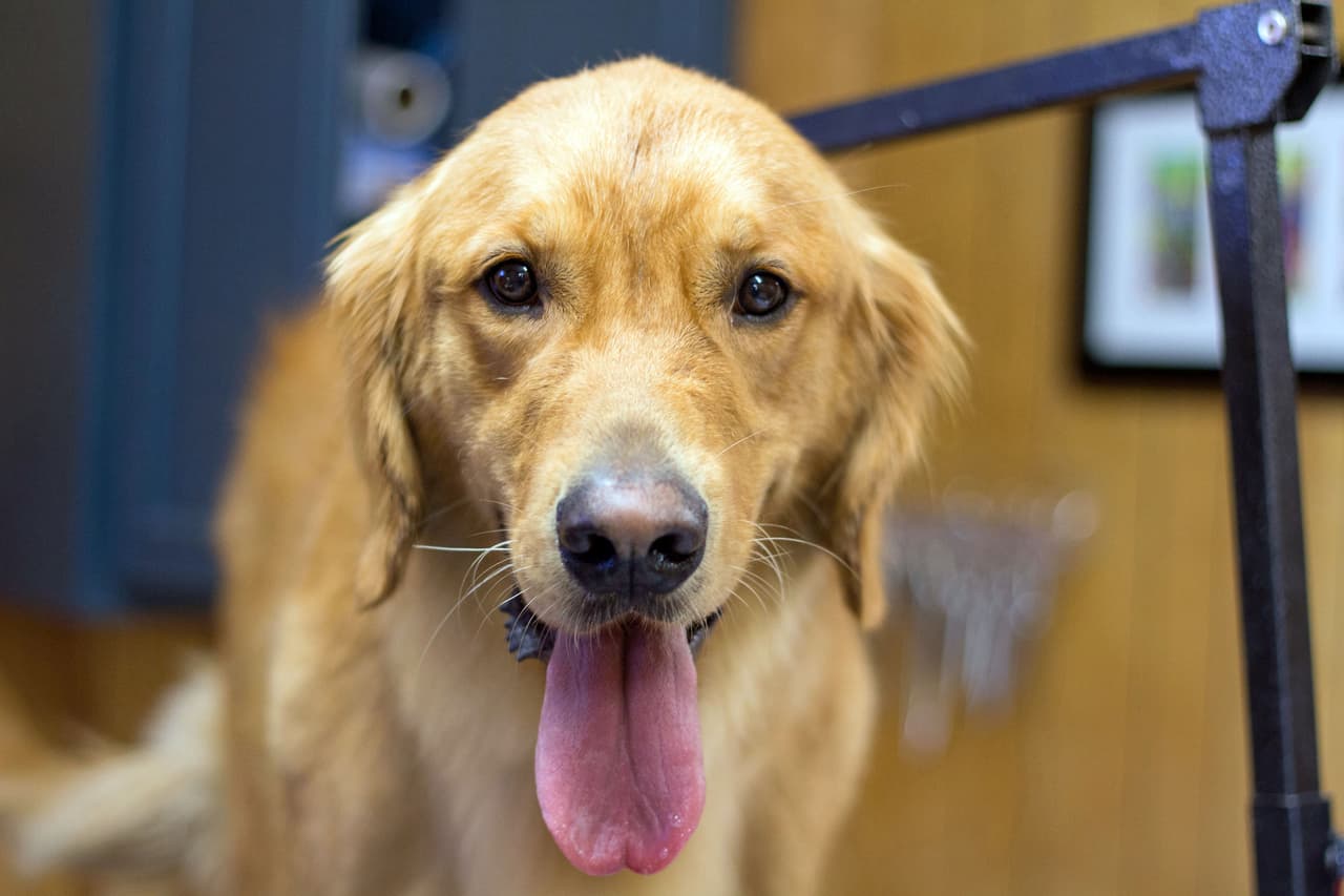 Pero después quedó convertido en todo un galán, listo para conquistar.