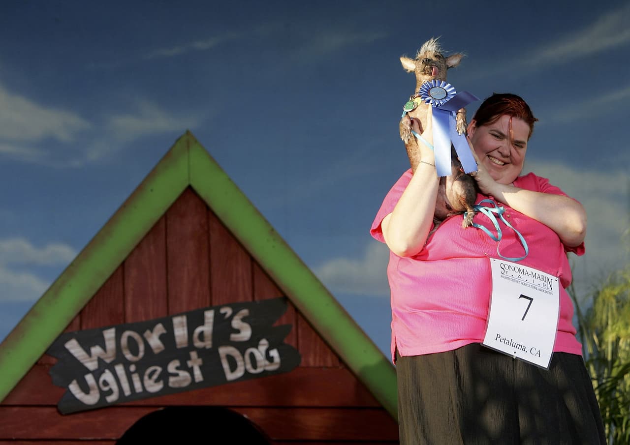 Al parecer los crestado chino son los perros más feos del mundo, pues en 2006 Archie se llevó la corona.