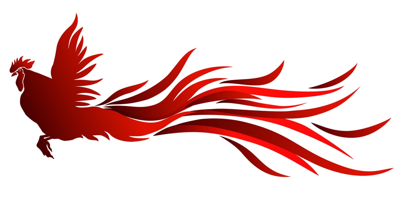 El mes de influencia del gallo es, por supuesto, septiembre, y su temporada del año es el otoño. Es un signo yin, con el metal como elemento de influencia.