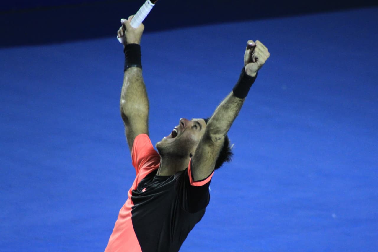 Juan Martín del Potro es el nuevo campeón del Abierto Mexicano de tenis.