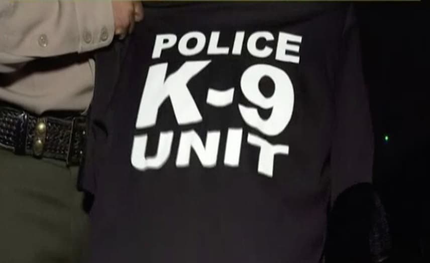 Un indigente resulta el héroe en el arresto de un falso policía que robó una camioneta en California