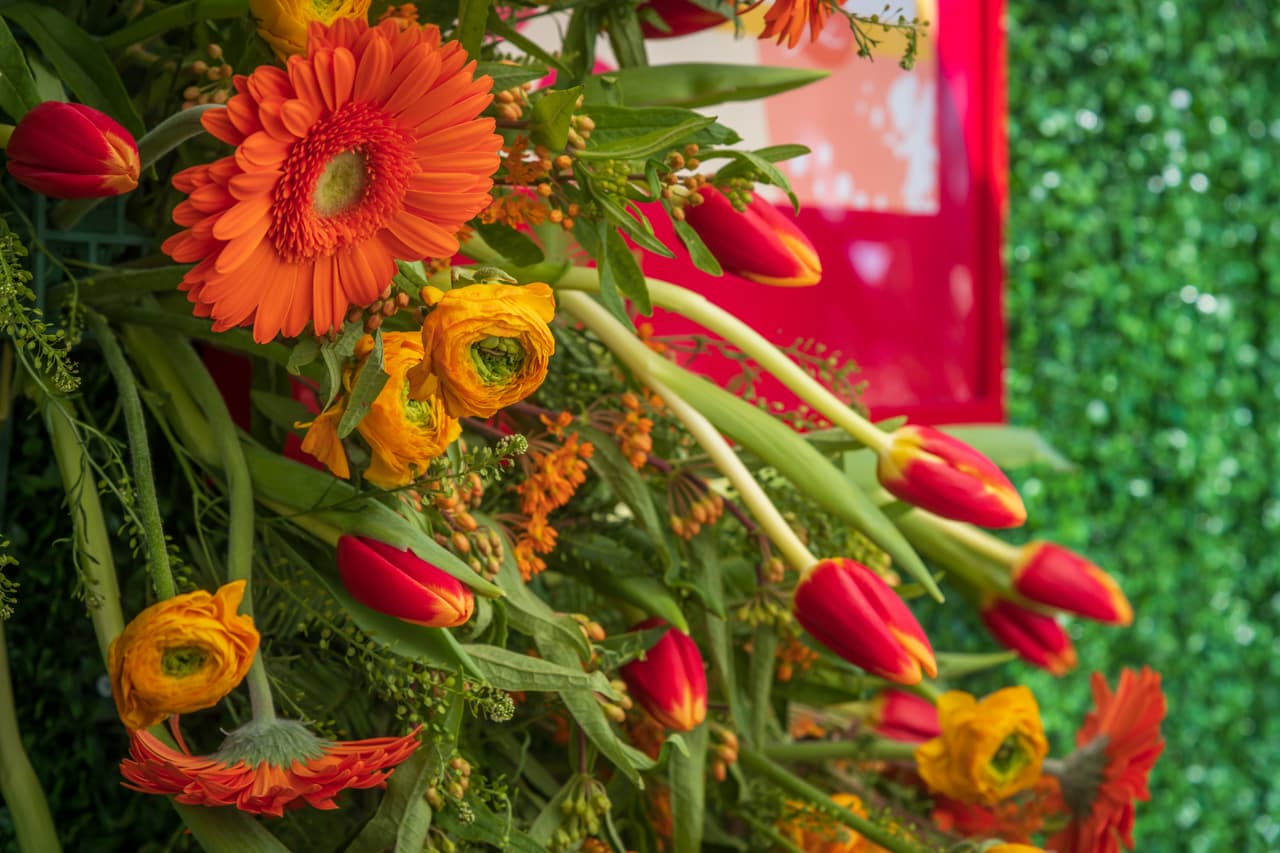 Además, el bazar de comida tendrá varios puestos de comida en el espectáculo y habrá una cervecería al aire libre dentro del Garden District.