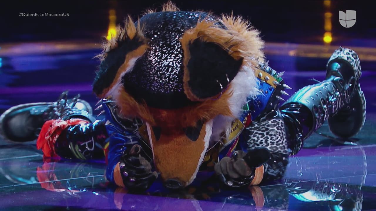 Aunque nadie se esperaba que Zorro hiciera un berrinche en el suelo tras saber la decisión.