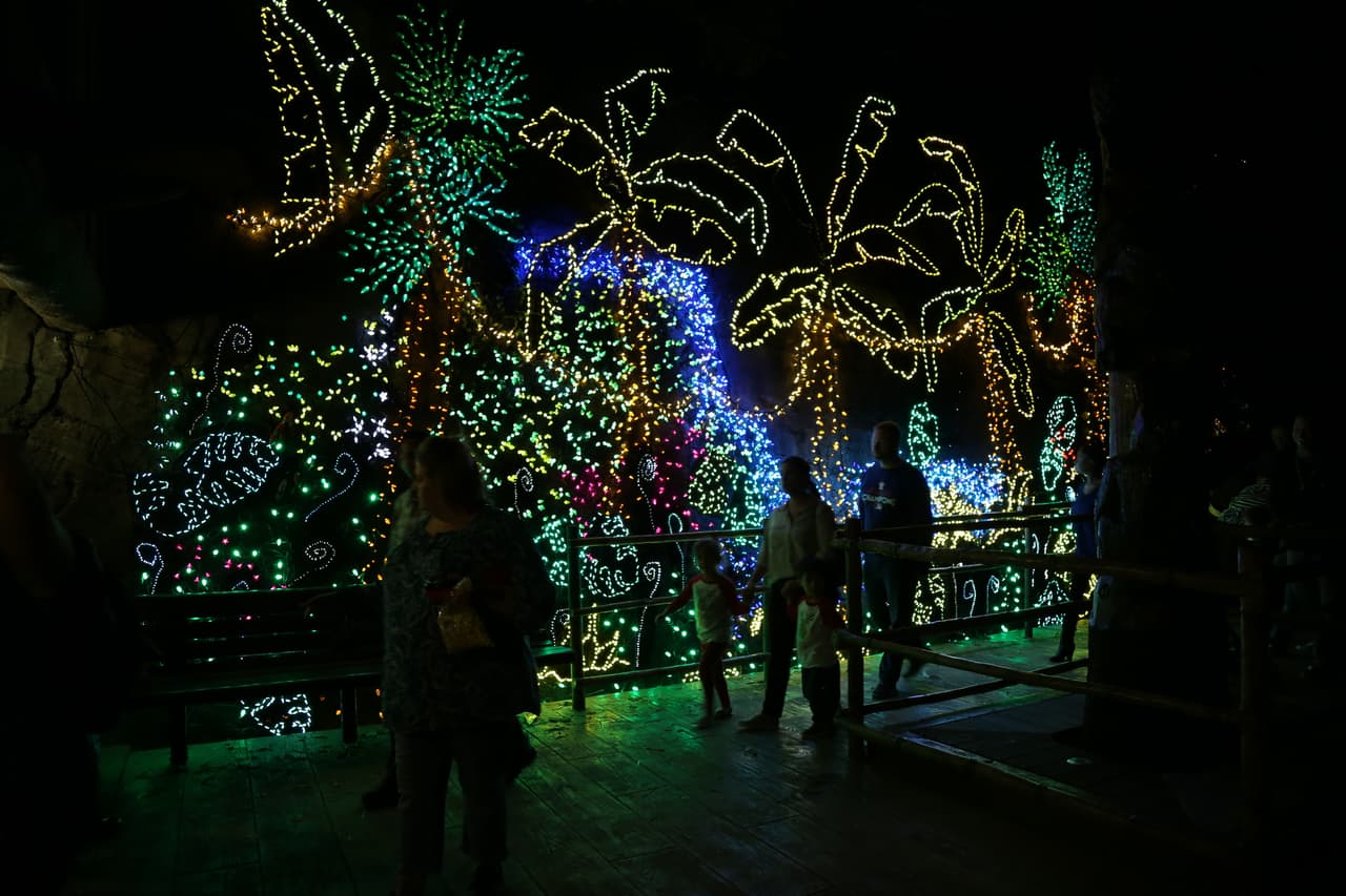 Los visitantes transitan por extensos pasajes iluminados con millones de focos navideños.