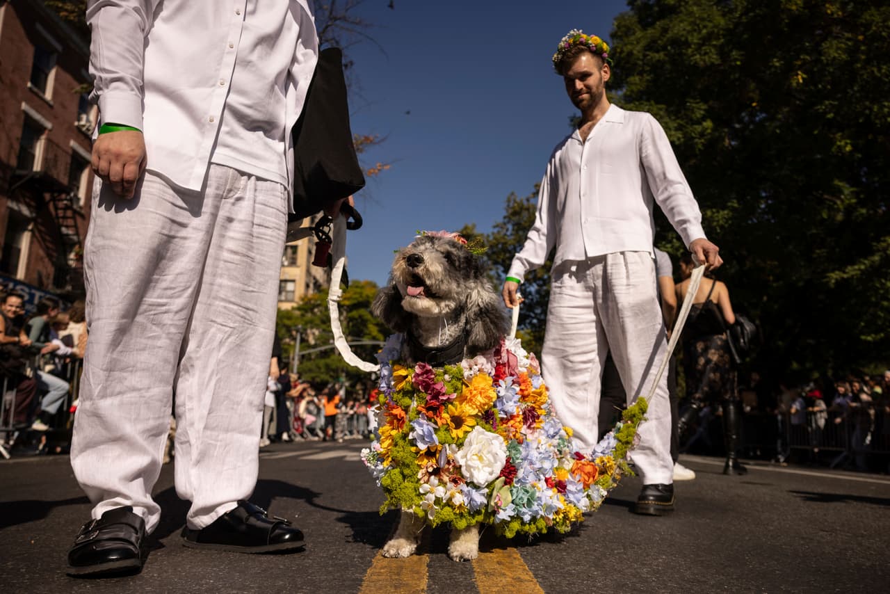 Con atuendos coloridos decenas de mascotas y sus dueños 
<b>desfilaron por el East Village</b>.
<br>