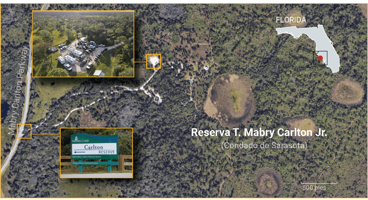 Reducen la intensidad de la búsqueda de Brian Laundrie, el novio de Gabby Petito