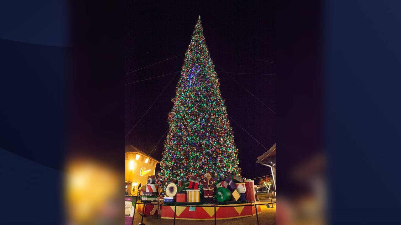 El evento de iluminación del árbol será el 21 de noviembre.
<br>
