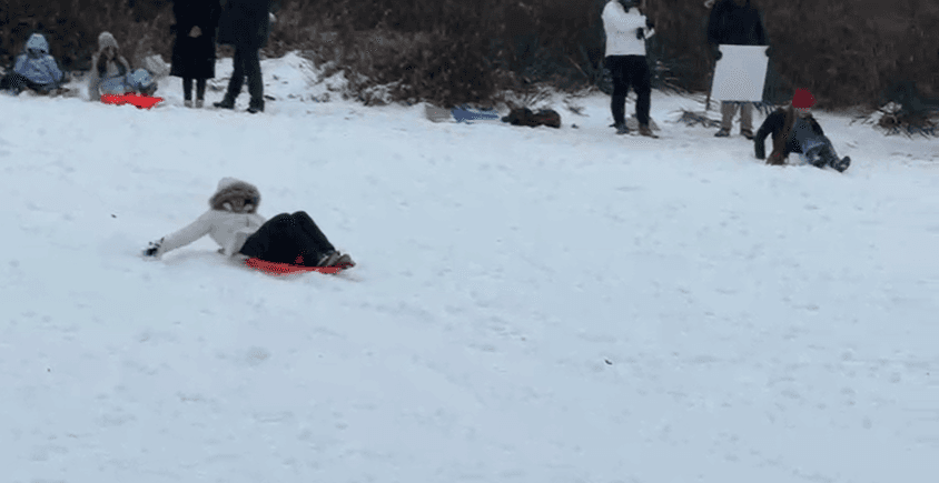 Niños deslizándose sobre la nieve también llevaron la capital del país, cerca del Capitolio, Familias enteras disfrutaron de la nevada. En Virginia algunos incluso salieron disfrazados.