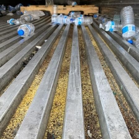 Otra táctica de los traficantes es rociar condimentos de limón y pimienta en el contenedor.