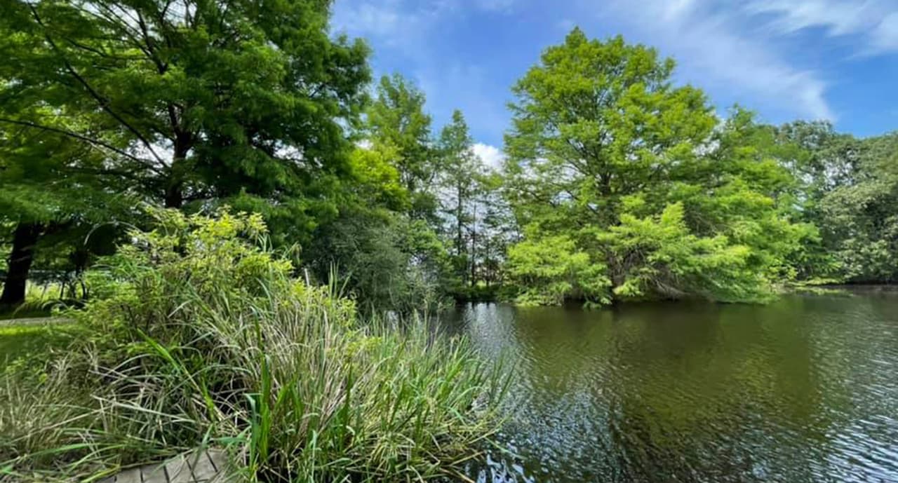 Armand Bayou Nature Center fue fundado en 1974.