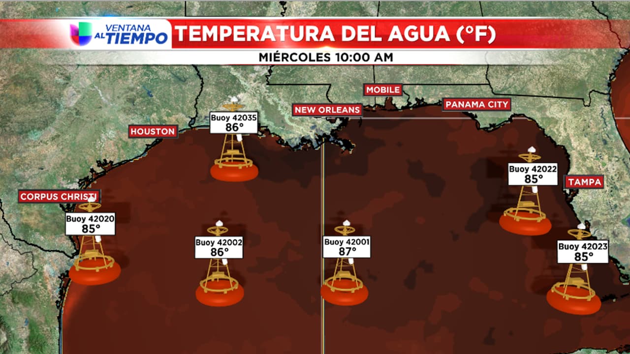 La temperatura del Golfo de México será uno de los factores que le ayudará a formarse.