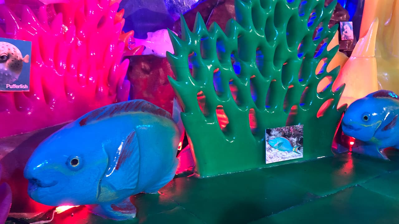 La enorme carpa se mantiene a 9 grados Fahrenheit.