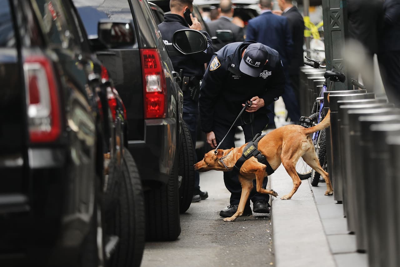 NEW YORK, NY - OCTOBER 24: A Police bomb sniffing dog is deployed outside of the Time Warner Center after an explosive device was found this morning on October 24, 2018 in New York City. CNN's office at the center was evacuated after a package arrived that was similar to suspicious packages found near the homes of Bill and Hillary Clinton, the Obamas and billionaire philanthropist George Soros. (Photo by Spencer Platt/Getty Images)