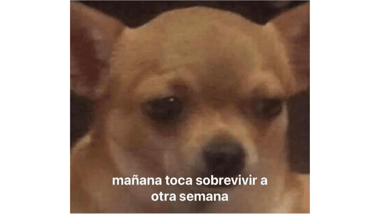 Memes para sobrevivir al lunes